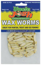 Preserved Wax Worms Preserved Wax Worms