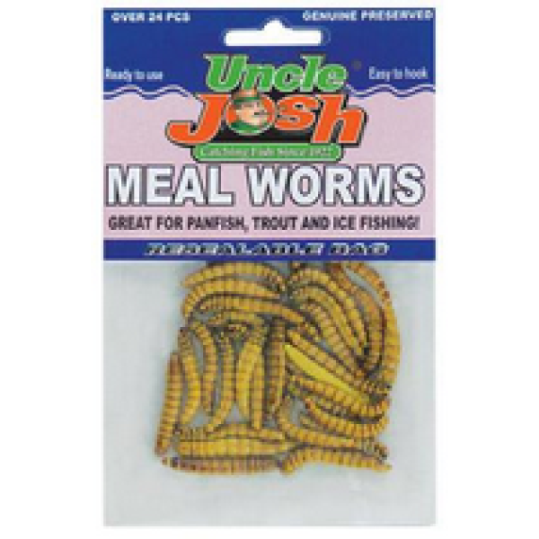 Preserved Meal Worms – Gold